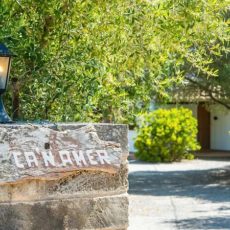 Amer Villa *