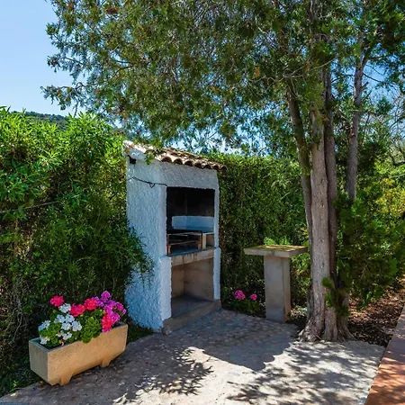Amer Villa